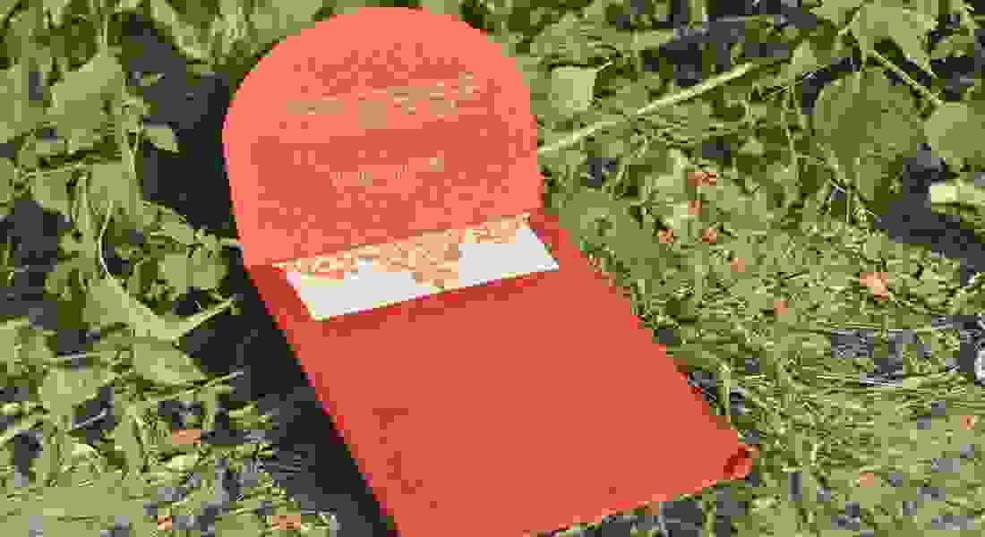 wedding invitation card in patel nagar