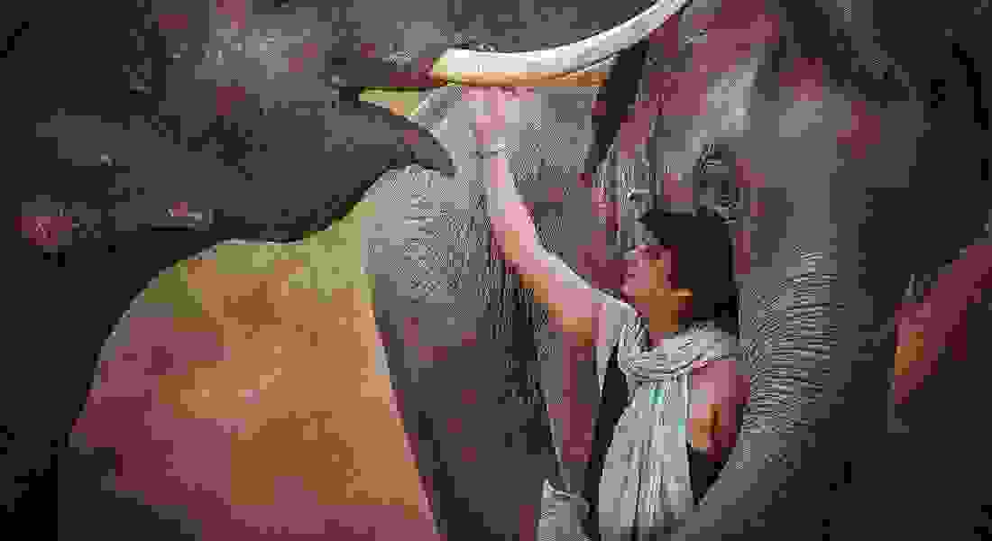 wedding photographers in punjabi bagh