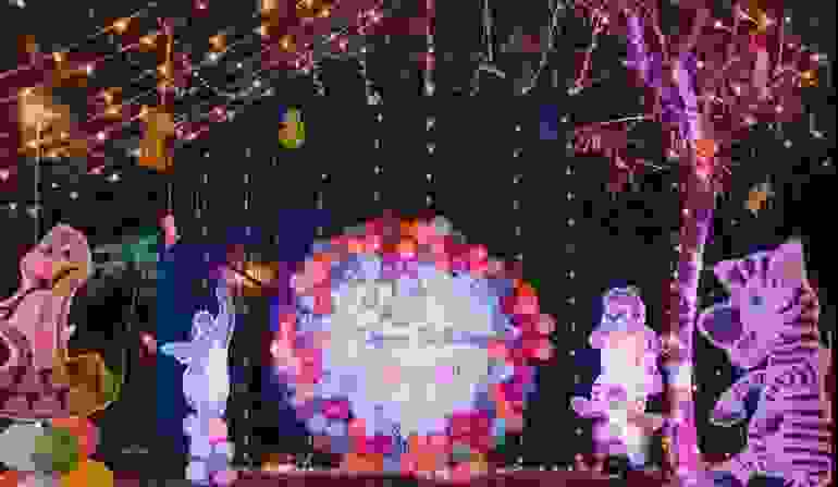 wedding decorators in rohini