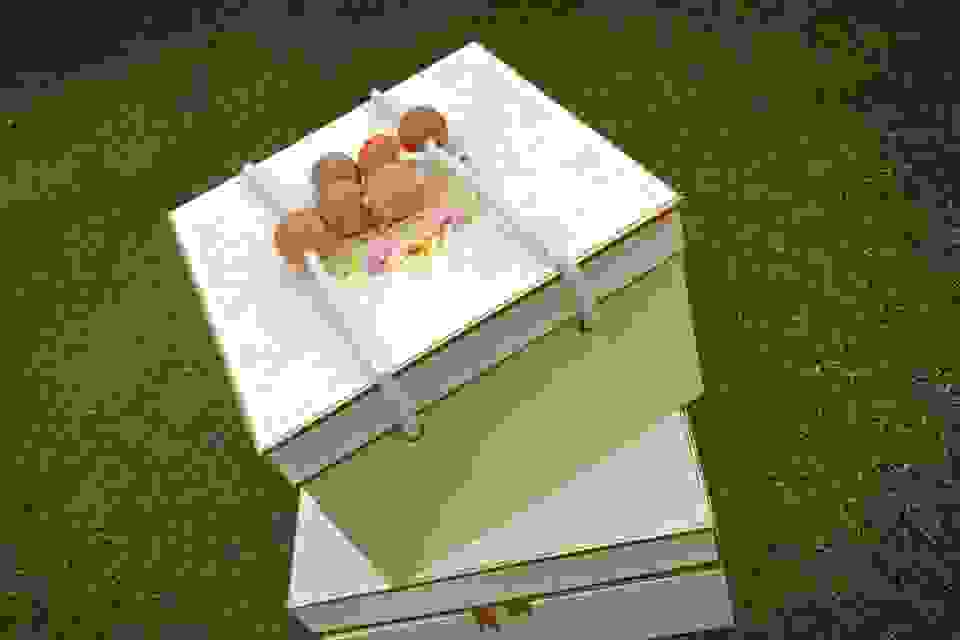 wedding invitation card in hauz khas