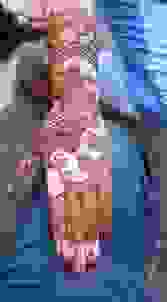 best mehendi artists in patel nagar