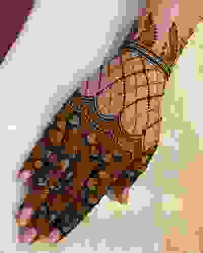 best mehendi artists in south delhi