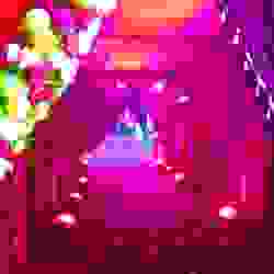 wedding decorators in model town