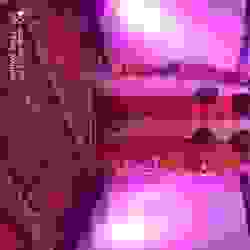 wedding decorators in model town