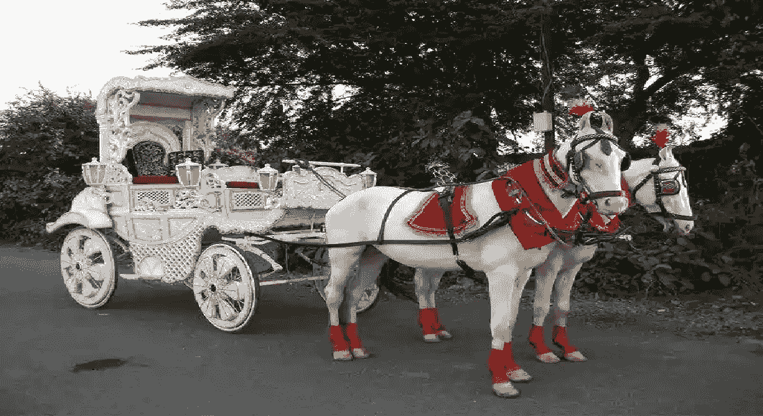 wedding band in punjabi bagh
