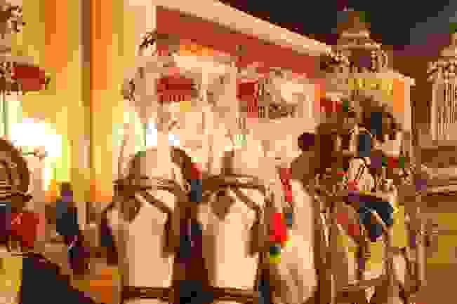 wedding band in hauz khas