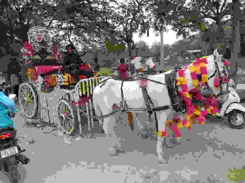 wedding band in vikaspuri