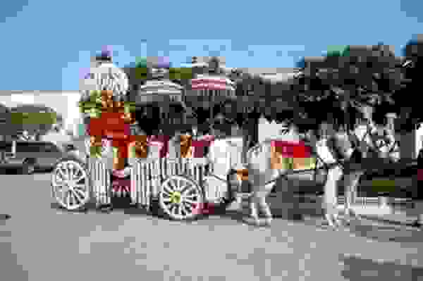 wedding band in rajouri garden