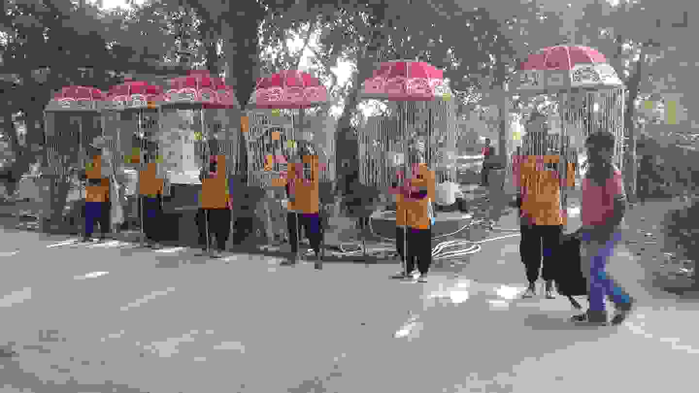 wedding band in dwarka