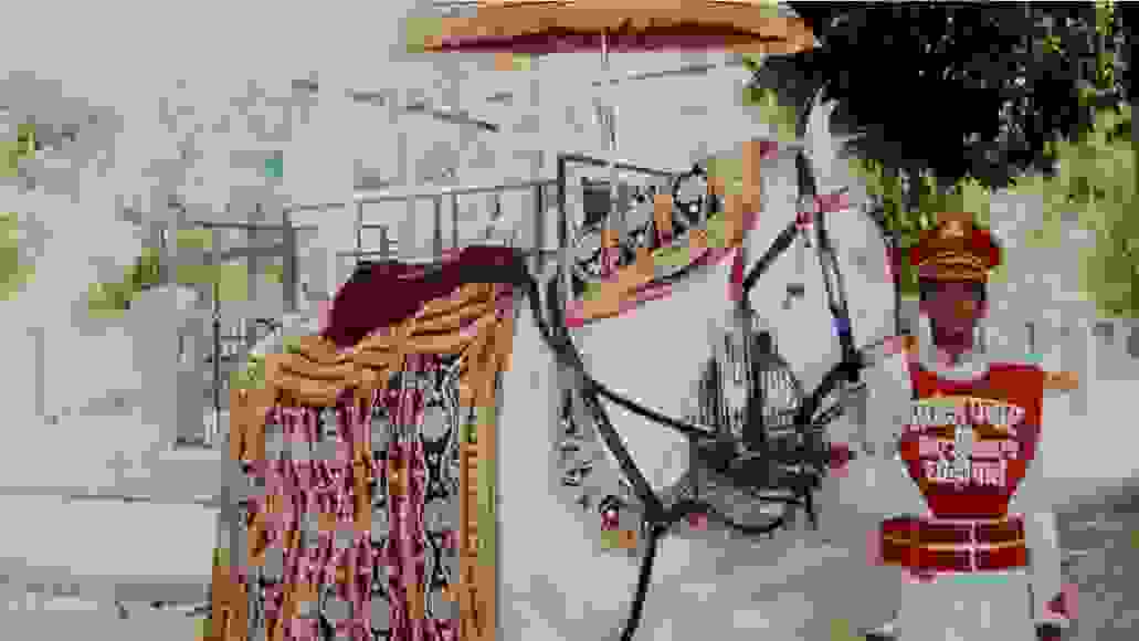 wedding band in hauz khas