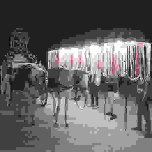 wedding band in dwarka