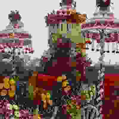 wedding band in rohini