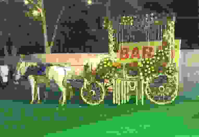 wedding band in pitampura