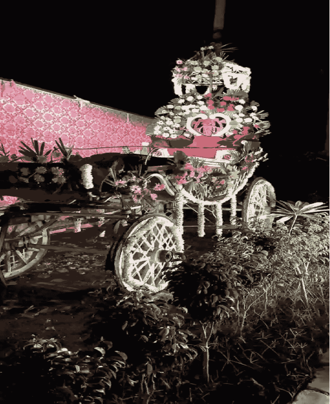 wedding band in vikaspuri