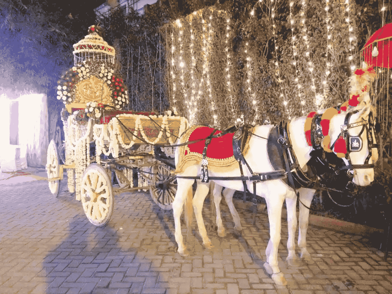 wedding band in vikaspuri