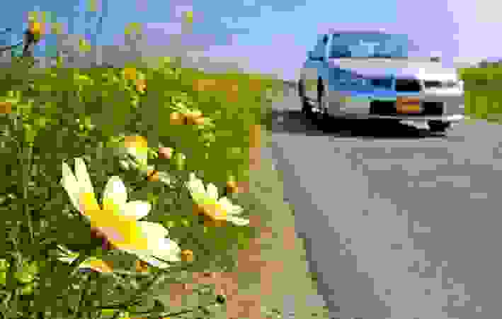 wedding transportation vintage cars in mayur vihar