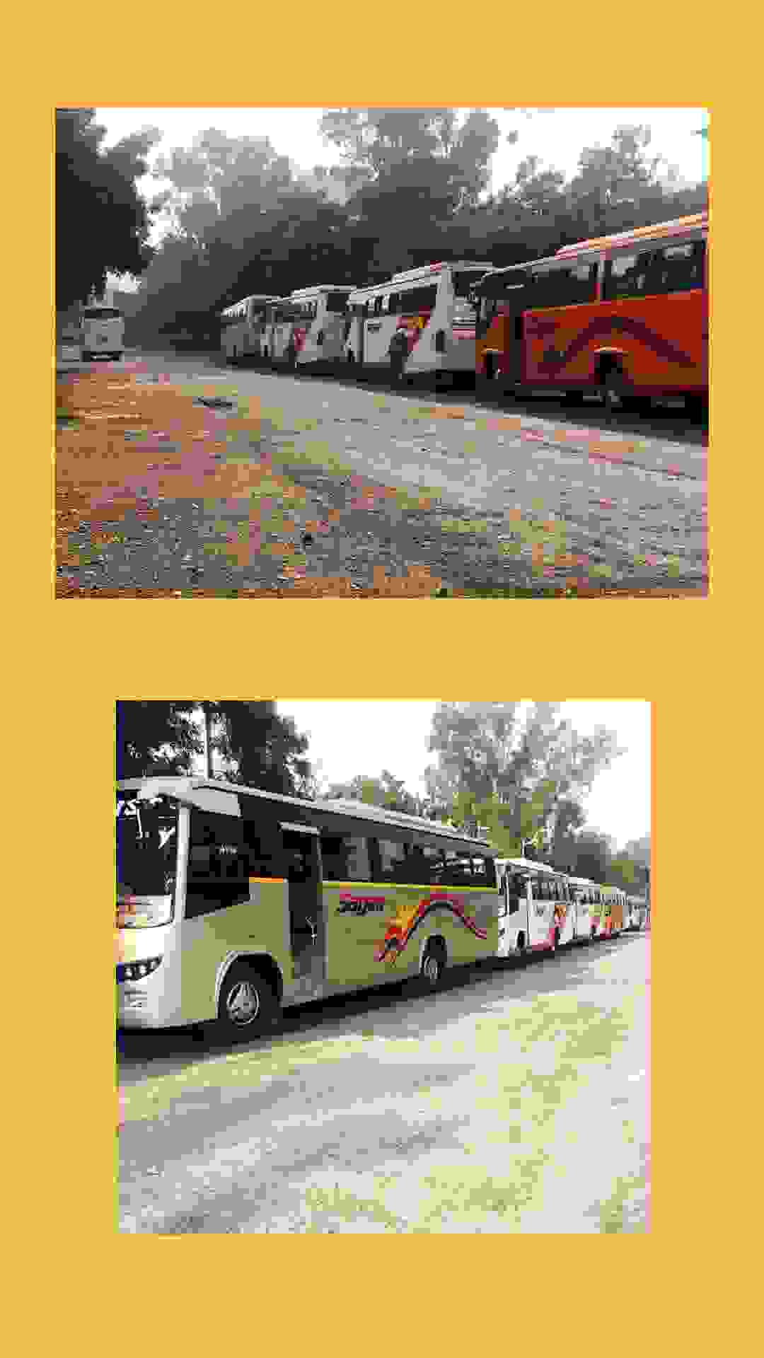 wedding transportation vintage cars in govindpuri