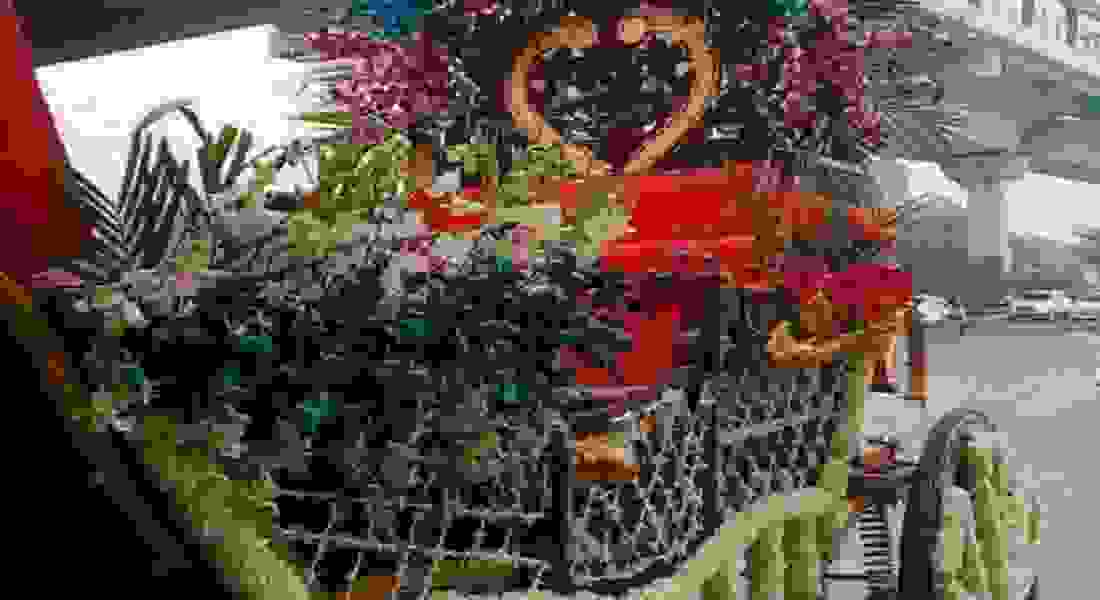 wedding band in vikaspuri