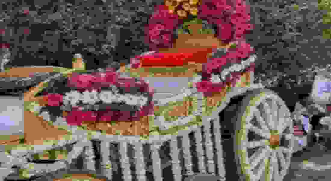 wedding band in east of kailash