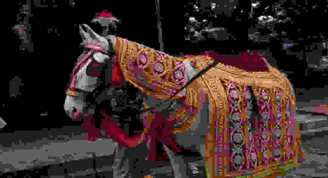 wedding band in vikaspuri