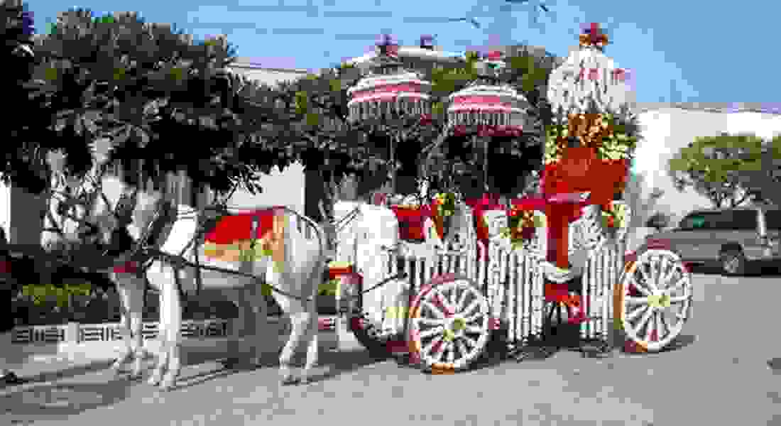 wedding band in rohini