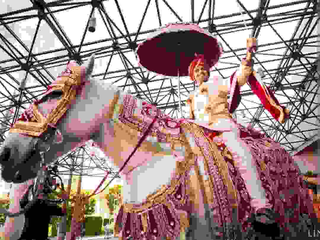 wedding band in delhi