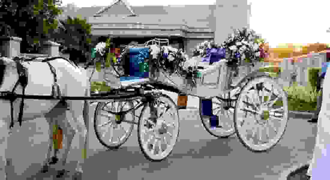 wedding band in delhi