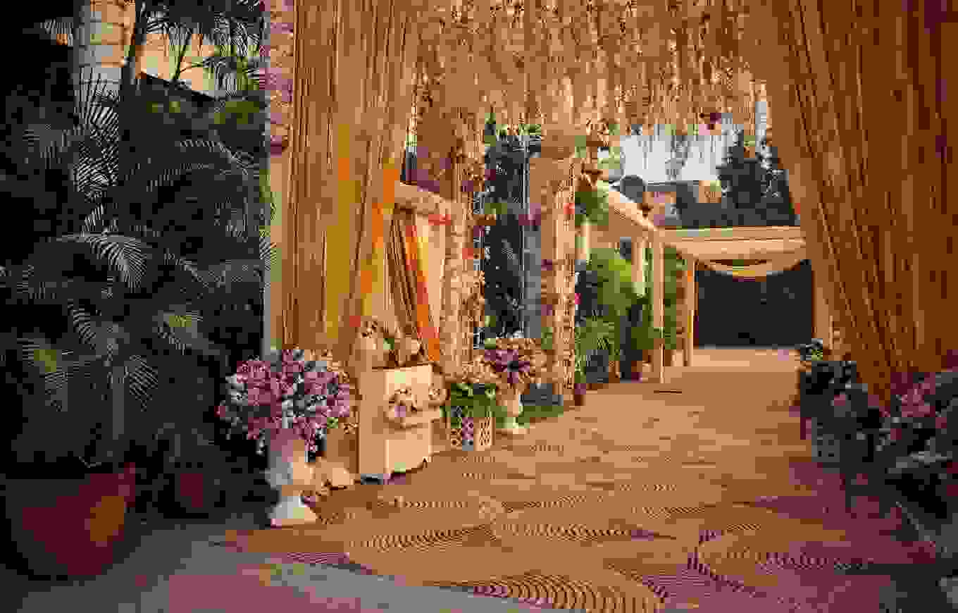 Radiance Tania Farms