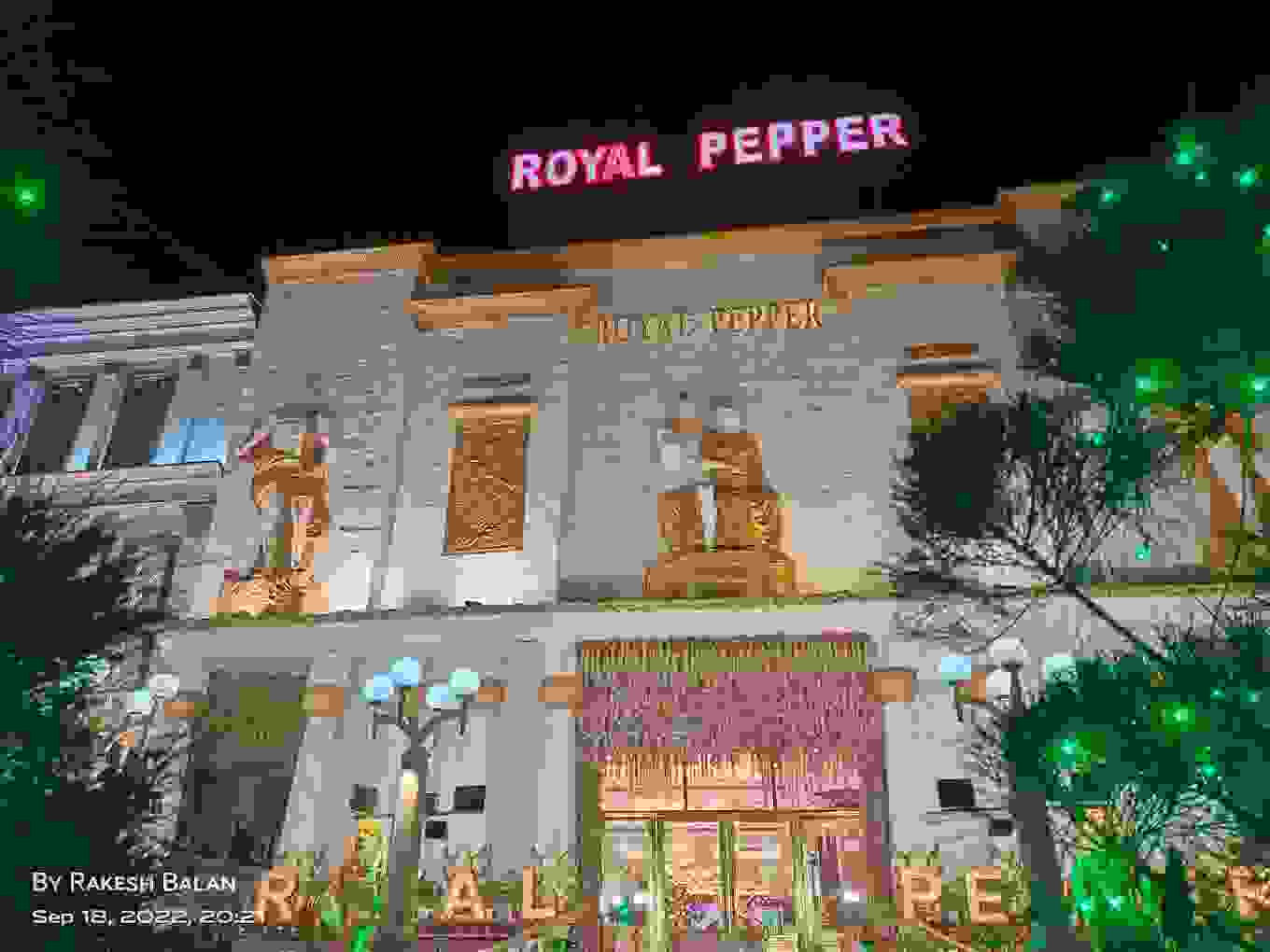 Royal Pepper Banquets Sector 10
