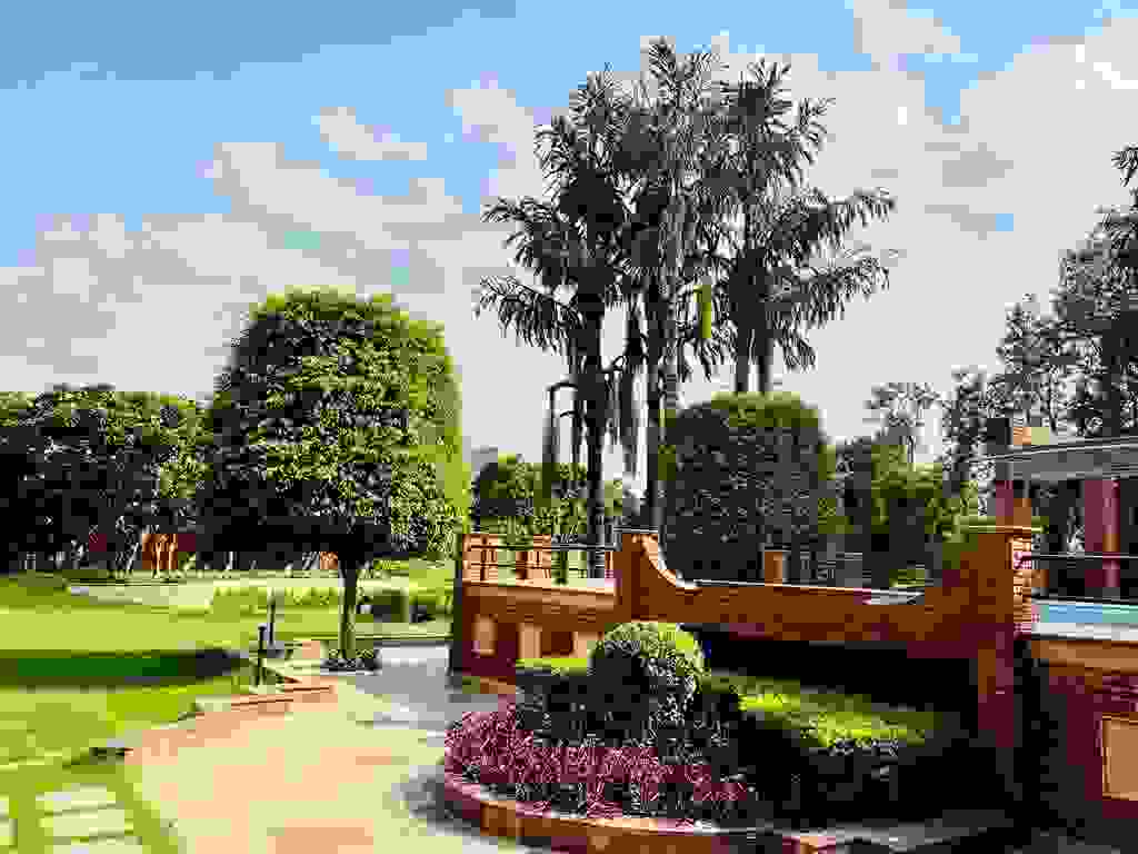 The Vintage Aarone Farms