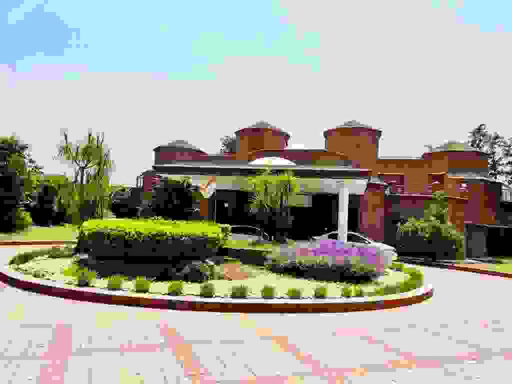 The Vintage Aarone Farms