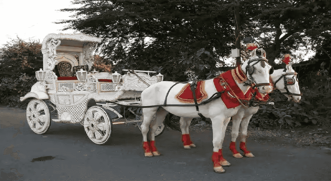 wedding band in punjabi bagh