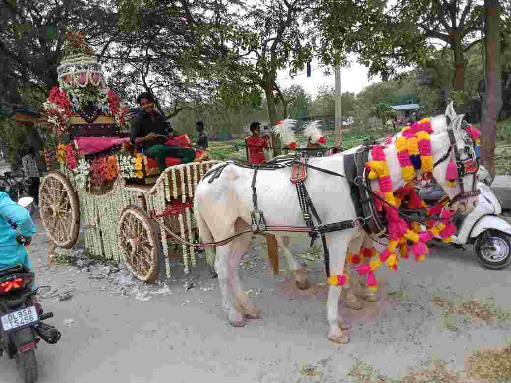 wedding band in vikaspuri