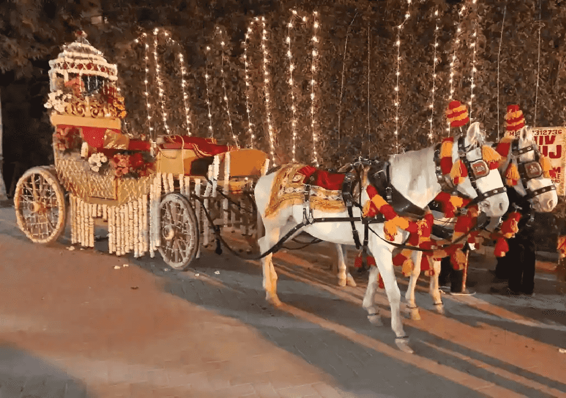 wedding band in north delhi