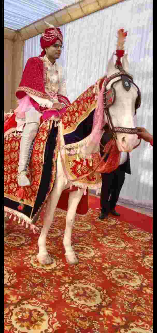 wedding band in east delhi