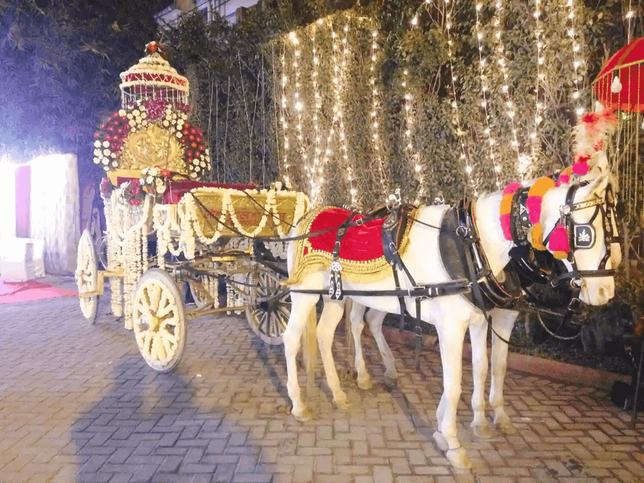 wedding band in vikaspuri