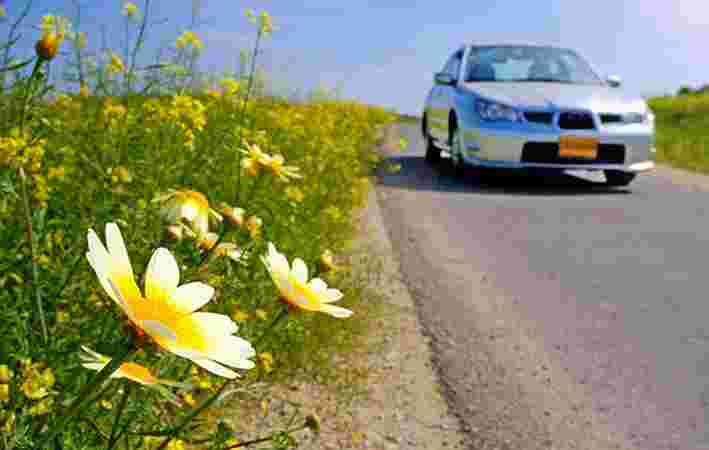 wedding transportation vintage cars in mayur vihar