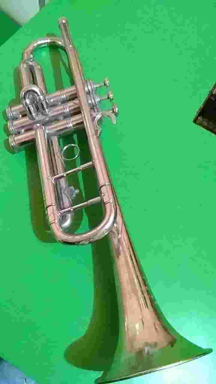 wedding band in south delhi