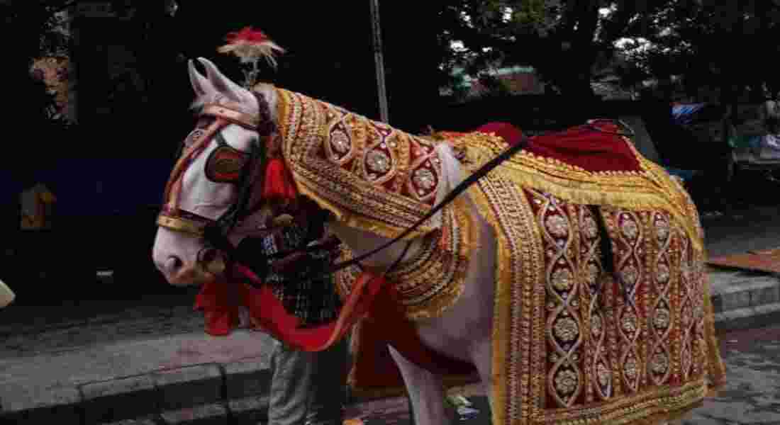 wedding band in vikaspuri
