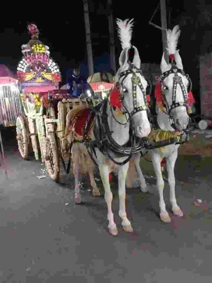 wedding band in east of kailash