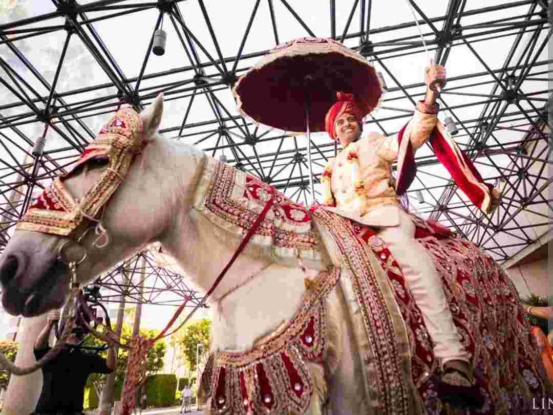 wedding band in delhi