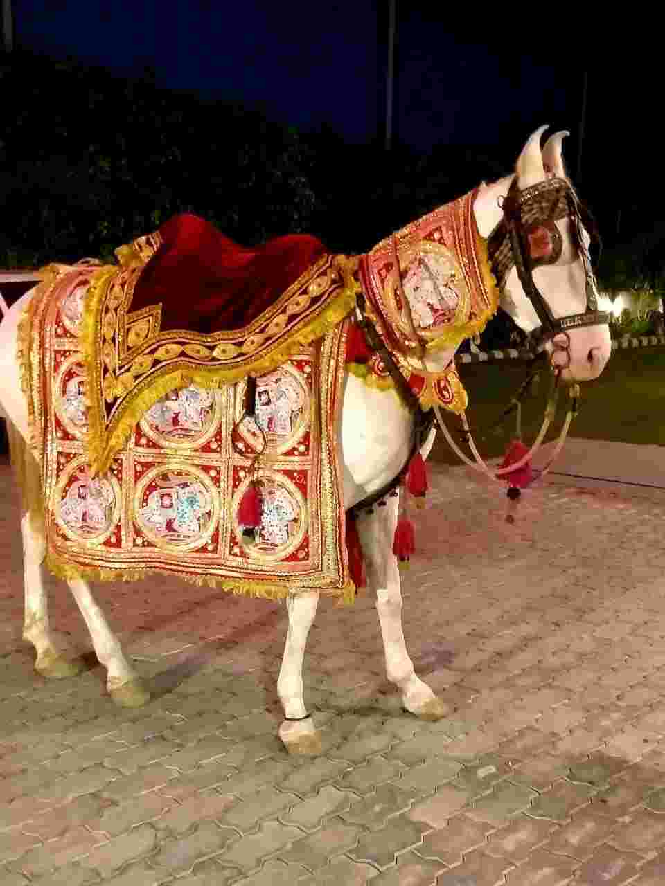 wedding band in delhi