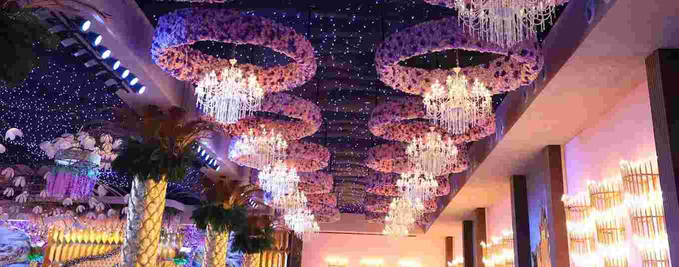 Polo Luxurious Destination