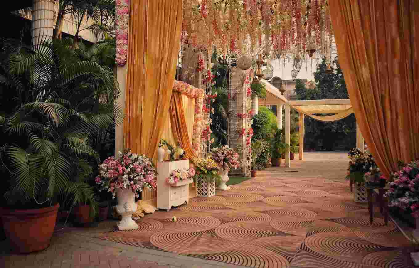 Radiance Tania Farms