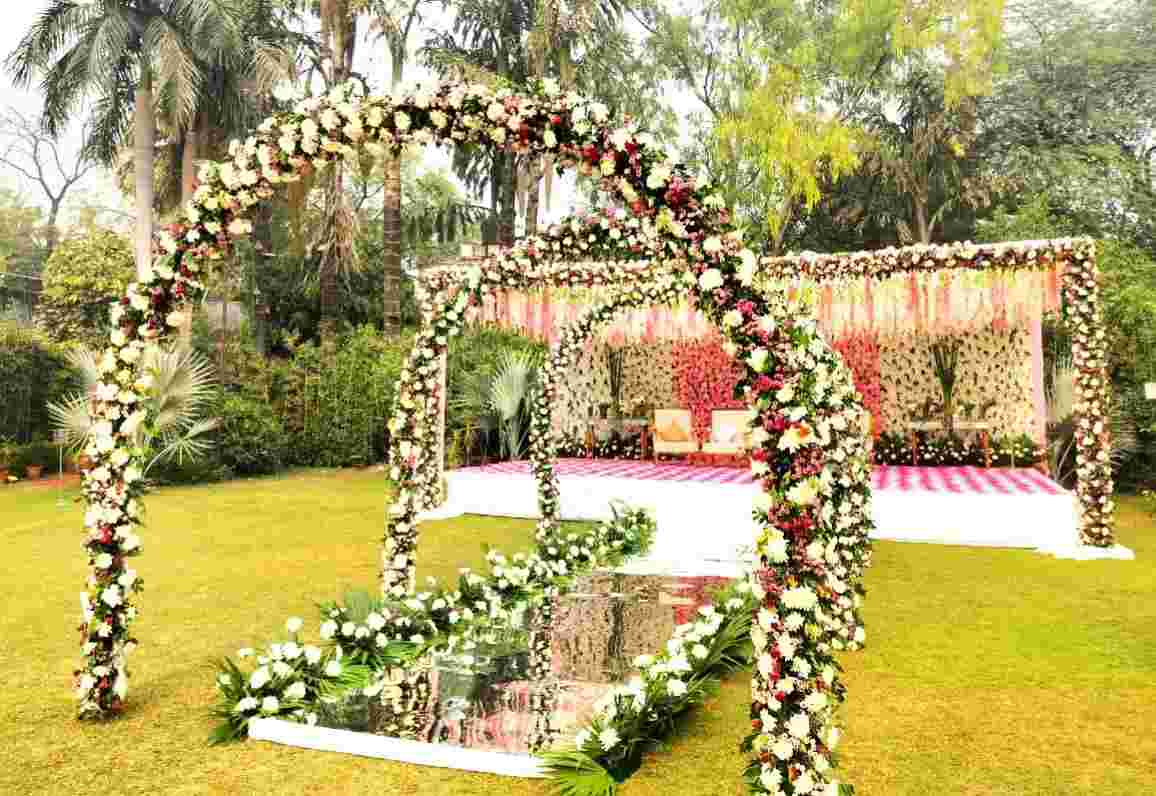 Radiance Tania Farms