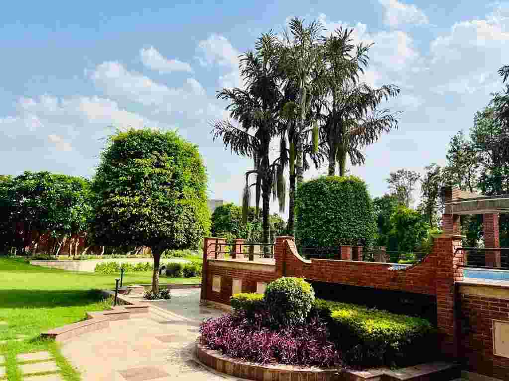 The Vintage Aarone Farms